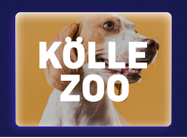 KOLLE ZOO