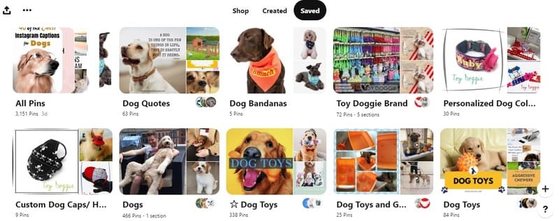 pinterest-or-instagram