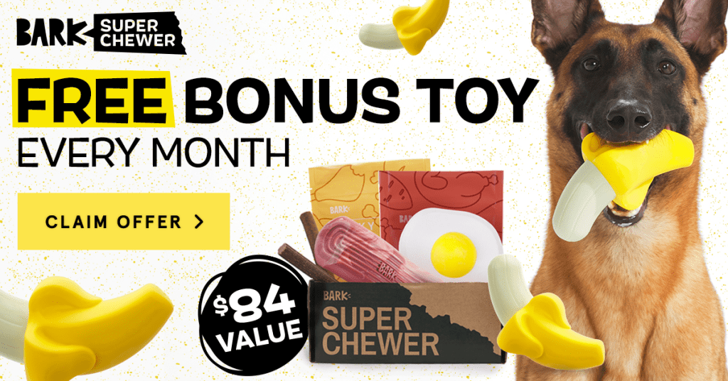 sales-promotion-example