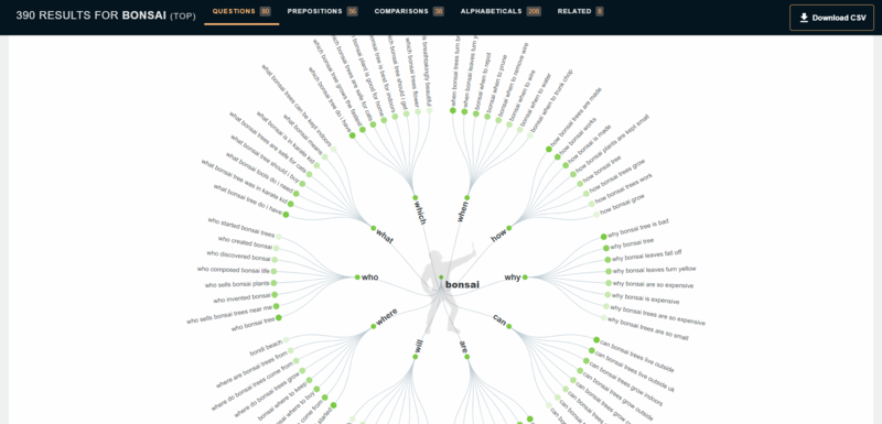 ecommerce lead magnet