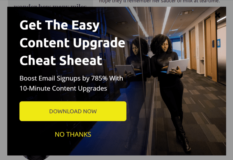 lead magnet ecommerce