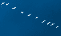 How e-commerce migration works: what to bear in mind when changing hosting, platform, or when you decide to go online