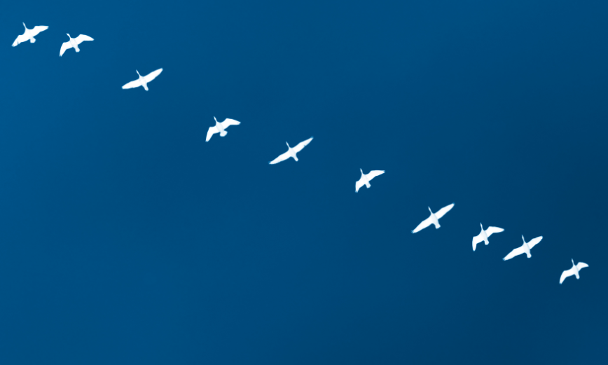 How e-commerce migration works: what to bear in mind when changing hosting, platform, or when you decide to go online