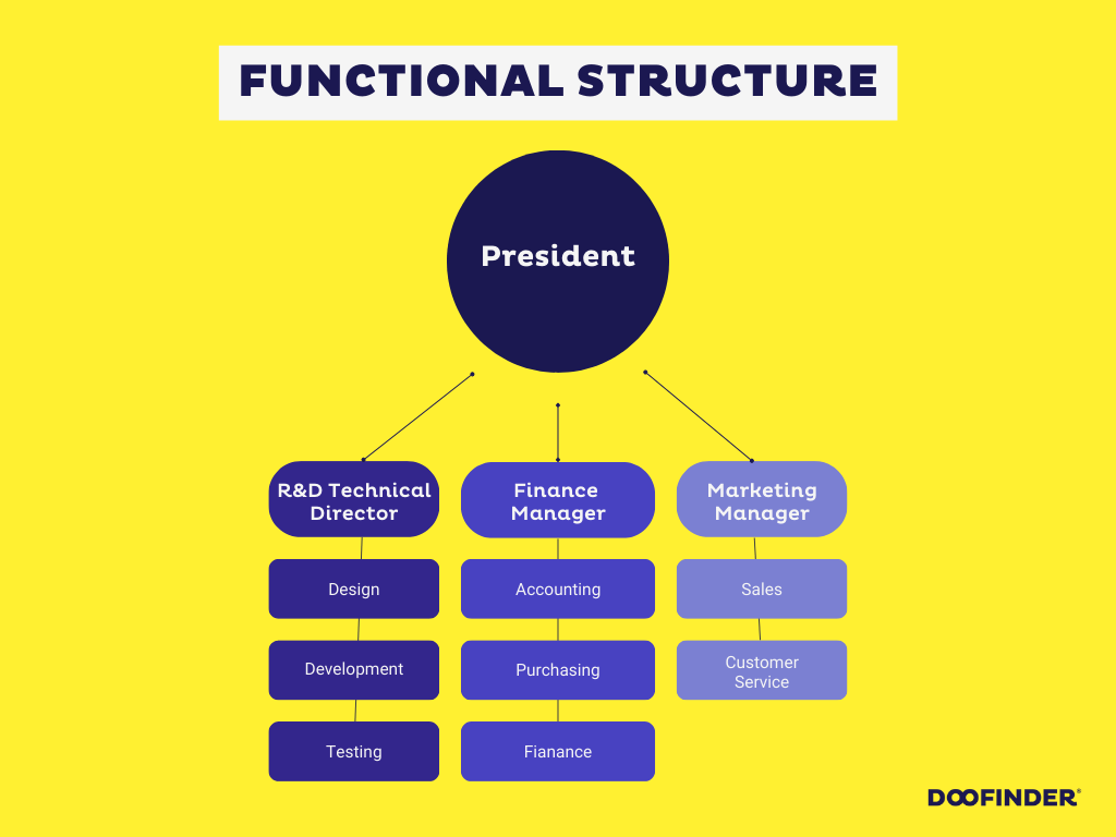 Organization Structure Chart Infographic Graph functional-organizational-structure