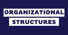 11 Types of Organizational Structures (+ Examples)