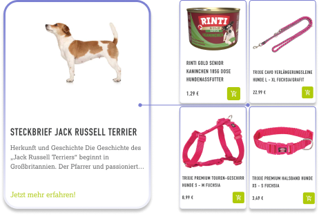 Search personalization