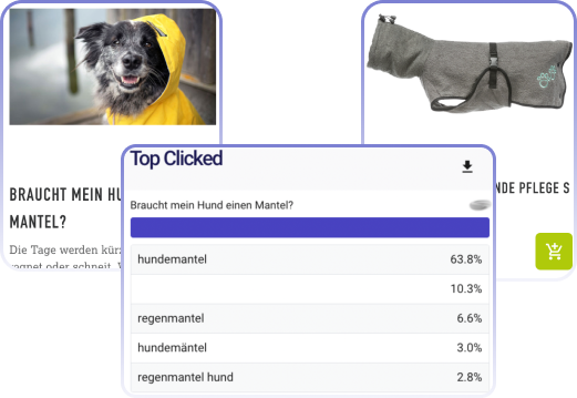 Search personalization.png