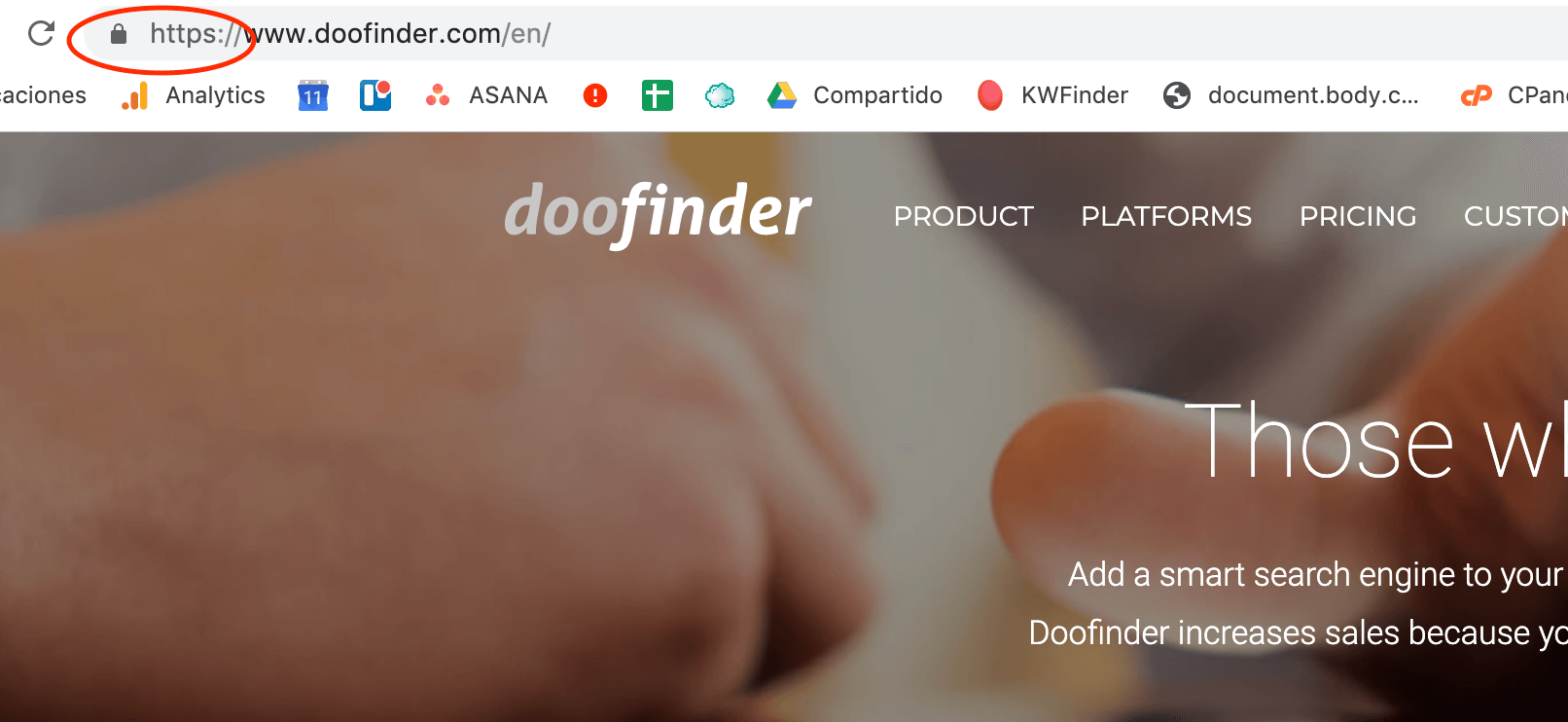 seguridad ecommerce