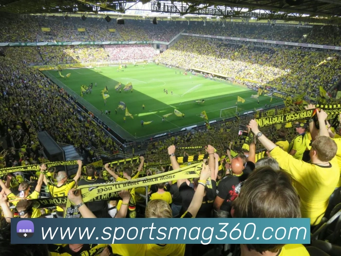 体育下注全站App